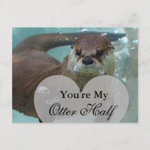 Du är min Otter Halva Brown River Otter Swimming Vykort