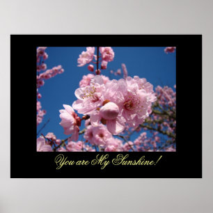 Du är min solsken! konsttryck Rosa Blommor Poster