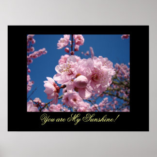 Du är min solsken! konsttryck Rosa Blommor Poster