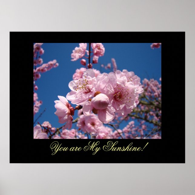 Du är min solsken! konsttryck Rosa Blommor Poster (Framsidan)