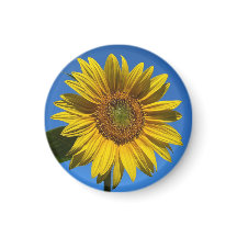 Du är min solsken...