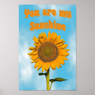 Du är min solsken poster