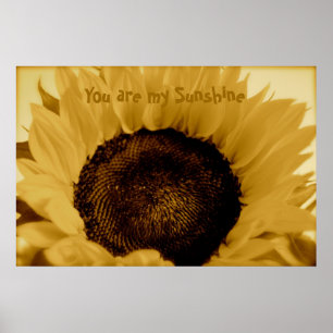 Du är min solsken poster