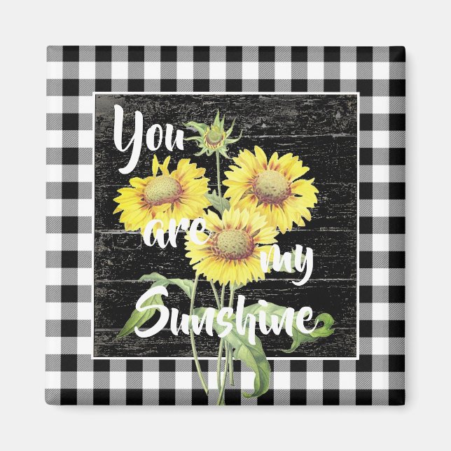 Du är min solskensmagnet magnet (Framsidan)