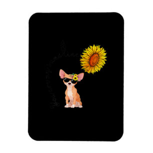 Du är min solskin Chihuahua Solros Chiahuahua Magnet