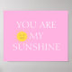 Du är min solskniga Poster. Poster (Framsidan)