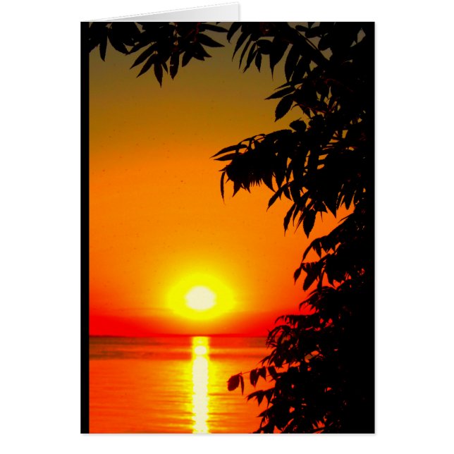 Du är mitt livs solsken! hälsningskort (Framsidan)