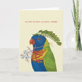 Du är mitt mest färgade vänkort med lorikeet kort