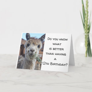 "DU ÄR NU EN *TEENAGER* LYCKLIG 13 BIRTHDAY KORT