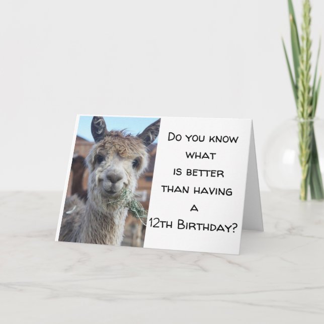 "DU ÄR NU EN *TEENAGER* LYCKLIG 13 BIRTHDAY KORT (Framsida)
