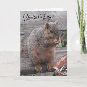 Du är Nutty och jag gillar det Funny Squirrel Pi Kort