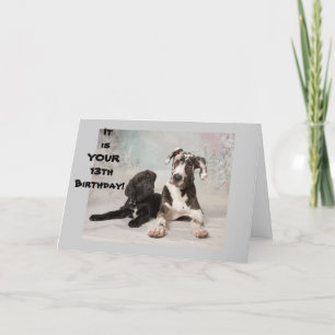 DU ÄR OFFICIELLT EN TEENAGER **13 BIRTHDAY** KORT