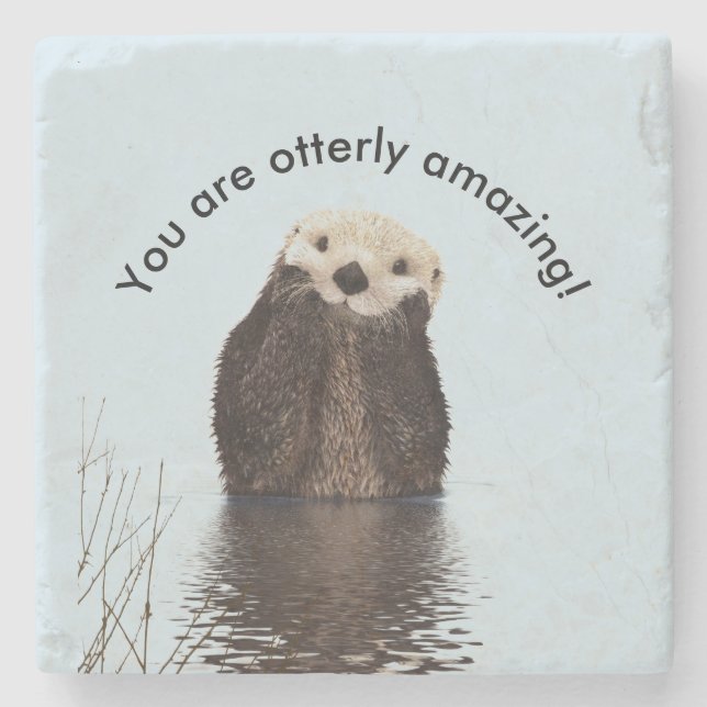 Du är Otterly Fantastisk Funny Pun med Cute Otter Underlägg Sten (Framsidan)