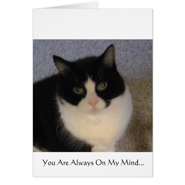 Du är på mitt varar besvärad alltid hälsningskort (Framsidan)