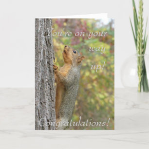Du är på väg upp kort