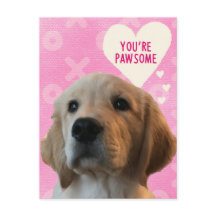 Du är PAWSOME Golden Valentine Day Postcard
