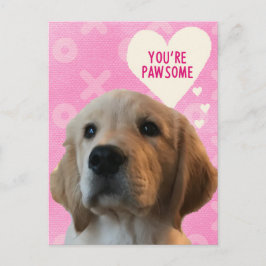Du är PAWSOME Golden Valentine Day Postcard Vykort