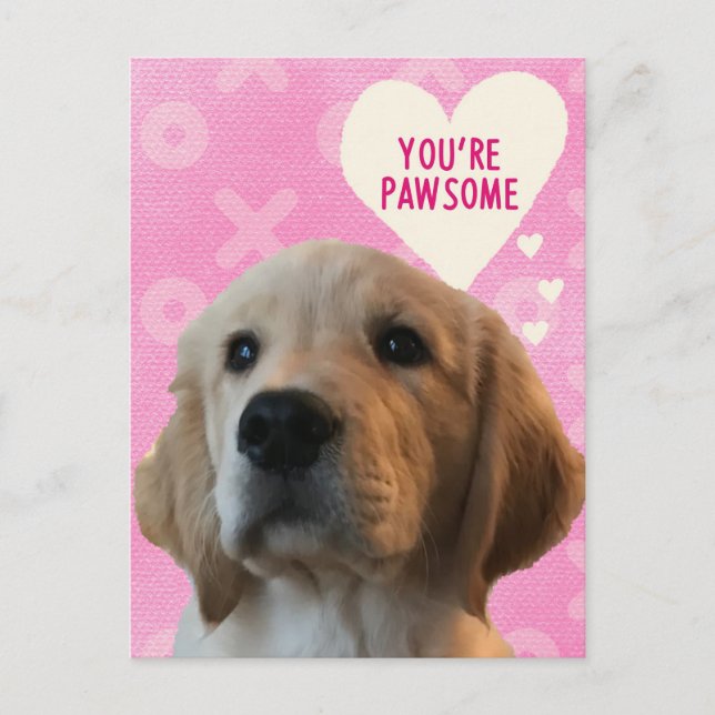 Du är PAWSOME Golden Valentine Day Postcard Vykort (Framsida)