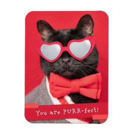 Du är PURR-fekt Cute Cat Magnet