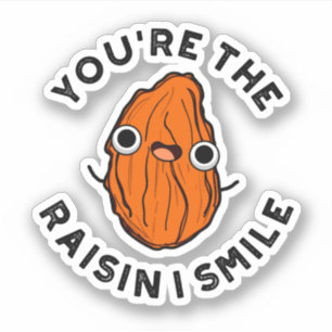 Du är "Raisin I Smile Fung Food Pun" Klistermärken