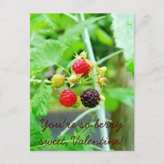 Du är så Berry Sweet Raspberry Valentine Helg Vykort