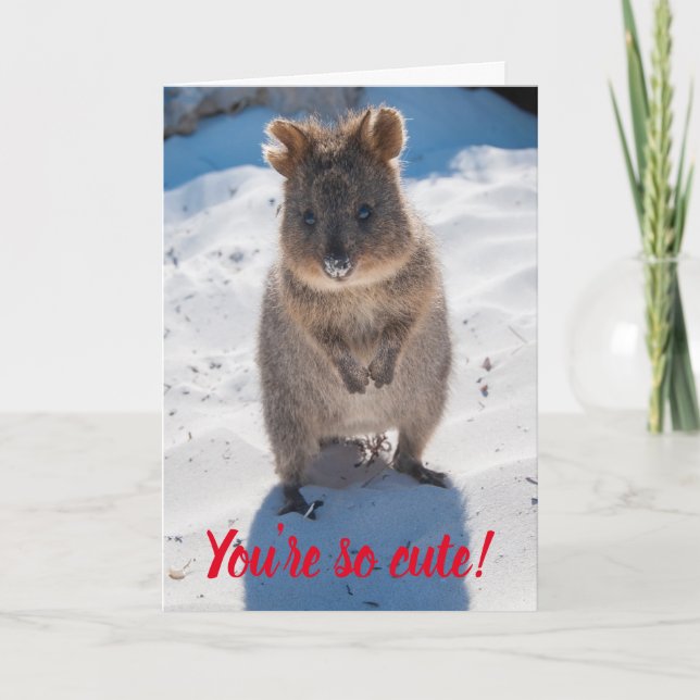 Du är så söt Quokka på stranden Alla hjärtans dag Kort (Framsida)