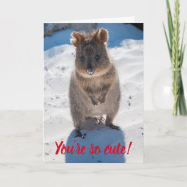 Du är så söt Quokka på stranden Alla hjärtans dag Kort