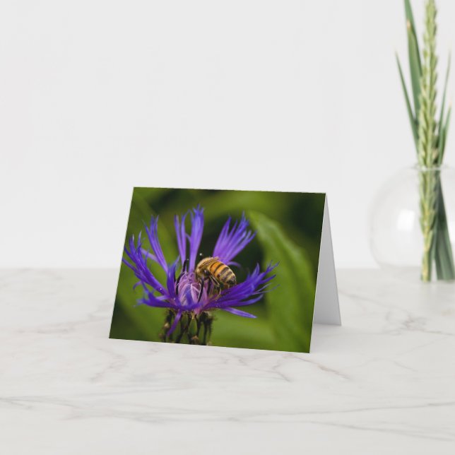 Du är söt som honung hälsning kort (Framsida)