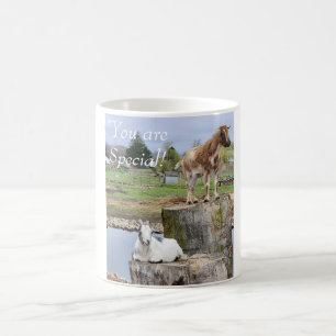 "Du är Speciell!  Getter 2 Kaffemugg