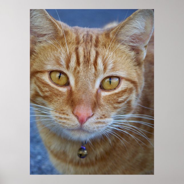 Du är speciell_ Poster_av Elenne Boothe Poster (Framsidan)