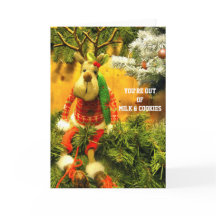 DU ÄR UTOM Mjölk OCH COOKiES 2