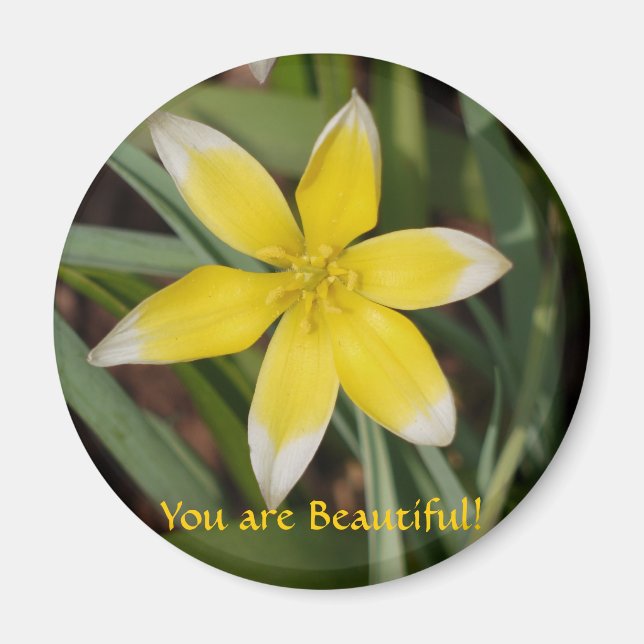 Du är vacker, Flower Magnet (Framsidan)