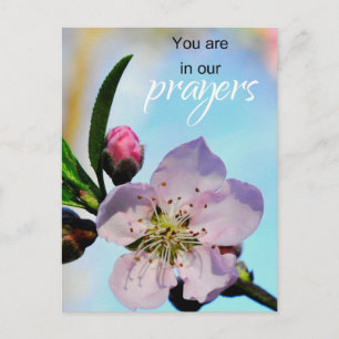 Du befinner dig i vår Prayers Church Congregation Vykort