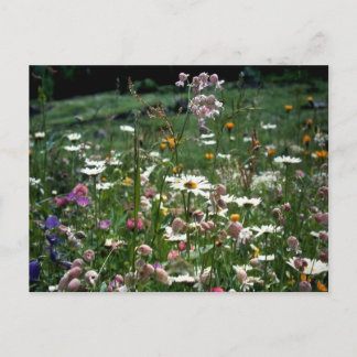 DU BEHÖVER INTE FÖRSTÅ LIVETS NATUR VYKORT