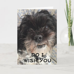 DU BETCHA ATT JAG ÖNSKAR DIG EN *GRATTIS PÅ FÖDELS KORT