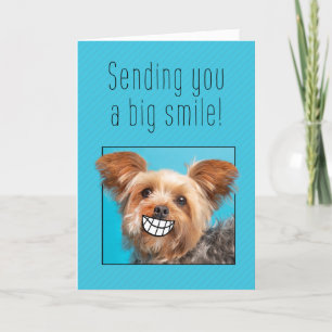 Du Big Smiles Yorkie-Hund Helgkort