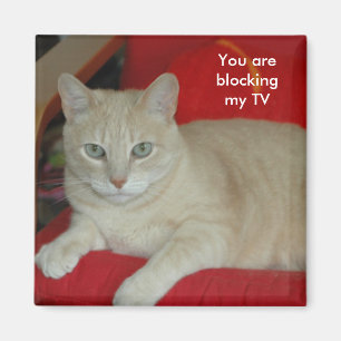 Du blockerar min TV Magnet