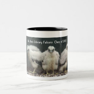 Du Bois Falk mugg 2013