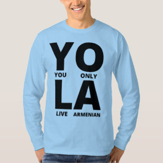 Du bor endast armenier t-shirt