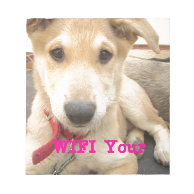 Du borde vinna Kärlek varje dag Anteckningsblock (Framsida)