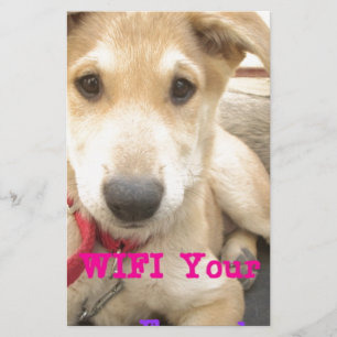 Du borde vinna Kärlek varje dag Brevpapper