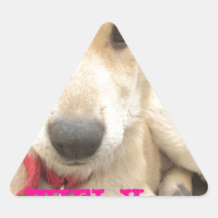 Du borde vinna Kärlek varje dag Triangelformat Klistermärke