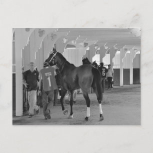 Du dödar mig av Adios Charlie Vykort