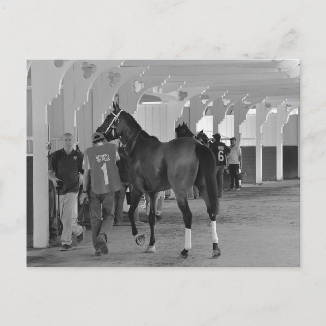 Du dödar mig av Adios Charlie Vykort (Framsida)