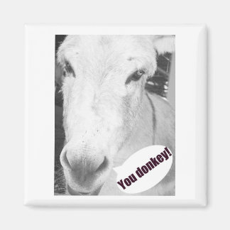 Du donkey magnet