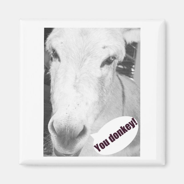 Du donkey magnet (Framsidan)