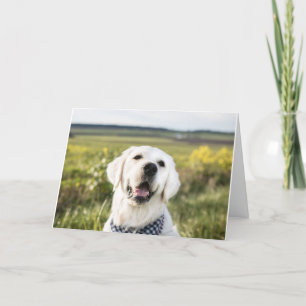 "Du får mig att le" Greeting Card Kort