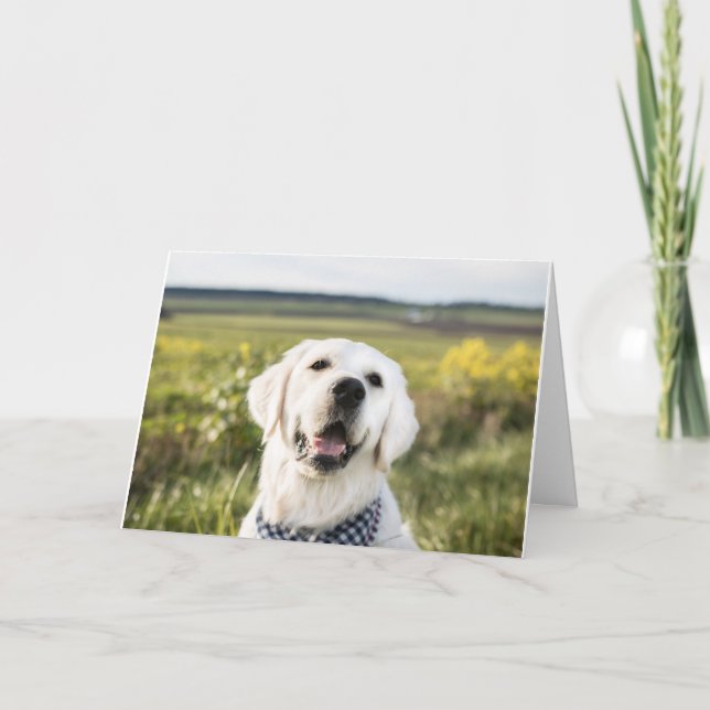 "Du får mig att le" Greeting Card Kort (Framsida)