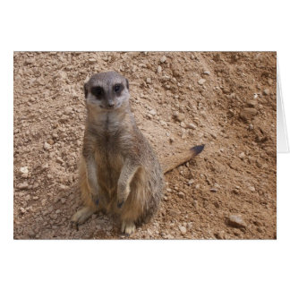 Du får mig att le hälsningskort