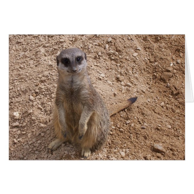 Du får mig att le hälsningskort (Framsidan Horizontal)